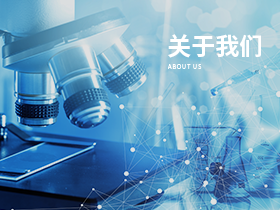 公司简介